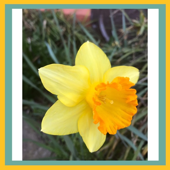 $10 SALE Elasticised Bracelet with Beads - Picture 6 of 6